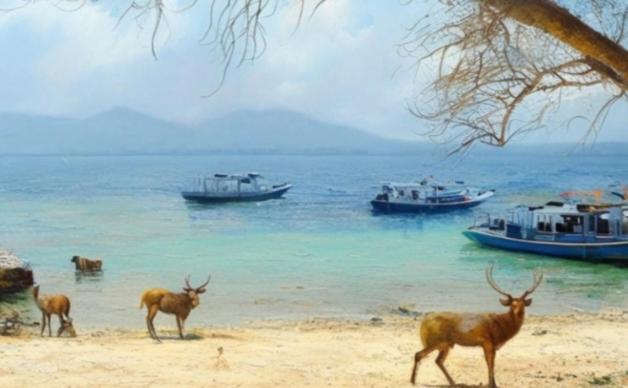 Отель The Beach Bungalows & Turtle Sanctuary