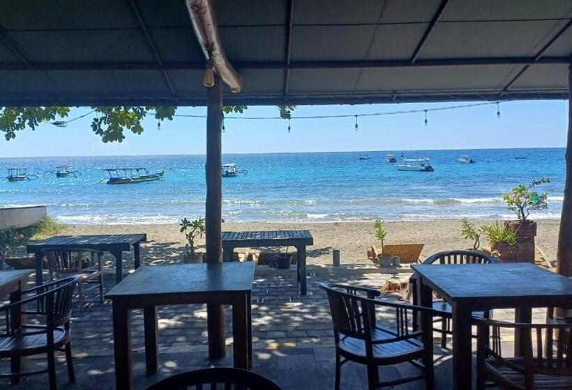 בית מלון כפרי The Beach Bungalows & Turtle Sanctuary