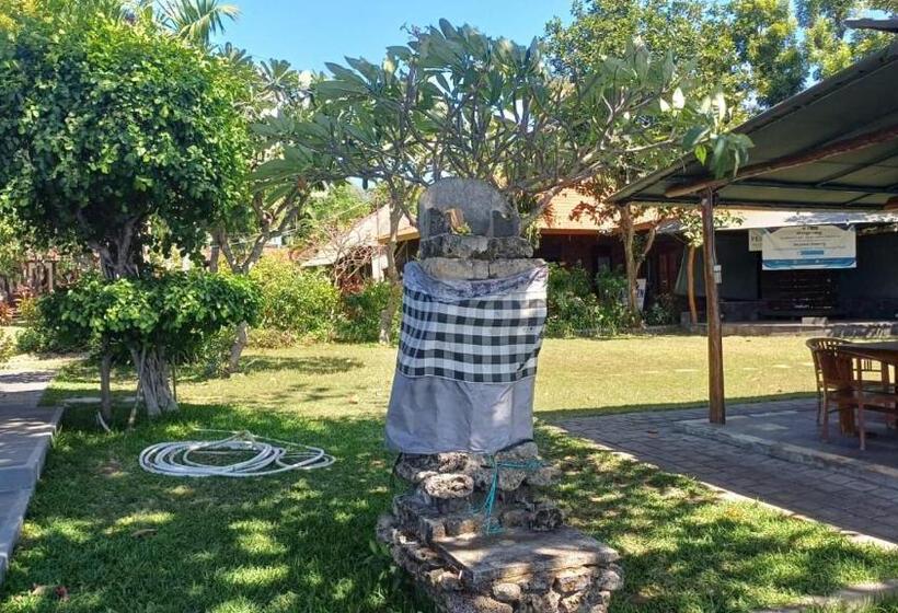 בית מלון כפרי The Beach Bungalows & Turtle Sanctuary