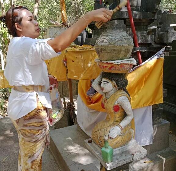 בית מלון כפרי The Beach Bungalows & Turtle Sanctuary