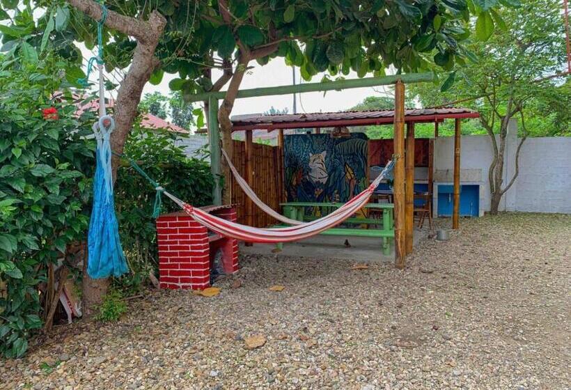 پانسیون Alan Hostal Tigrillo