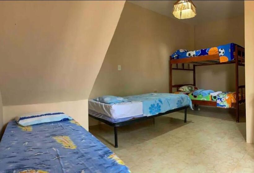 پانسیون Alan Hostal Tigrillo