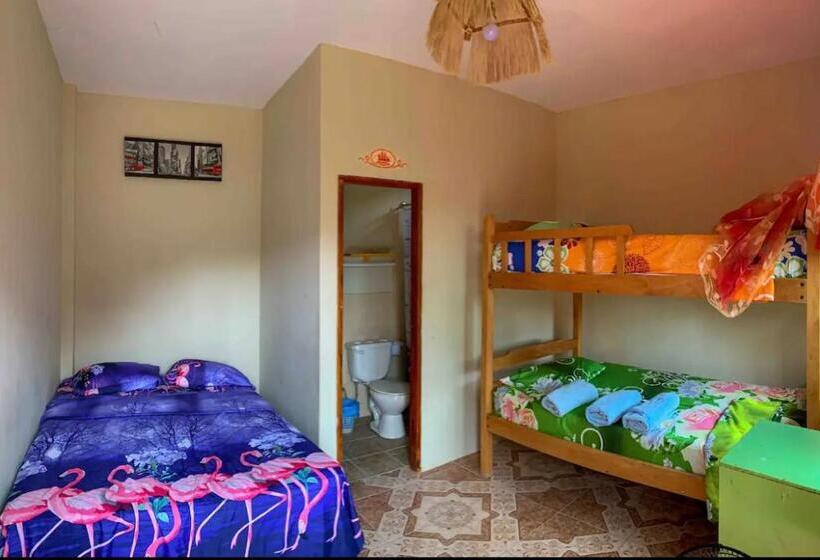 پانسیون Alan Hostal Tigrillo