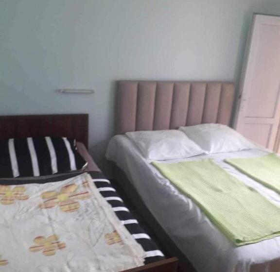 پانسیون Cicis House