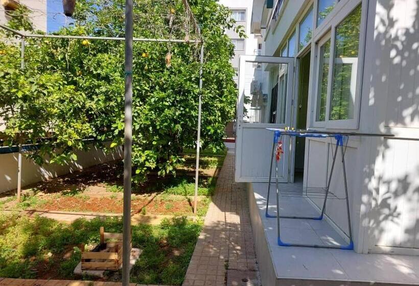 ペンション Green Island