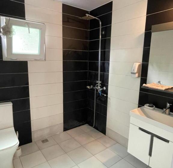 پانسیون House