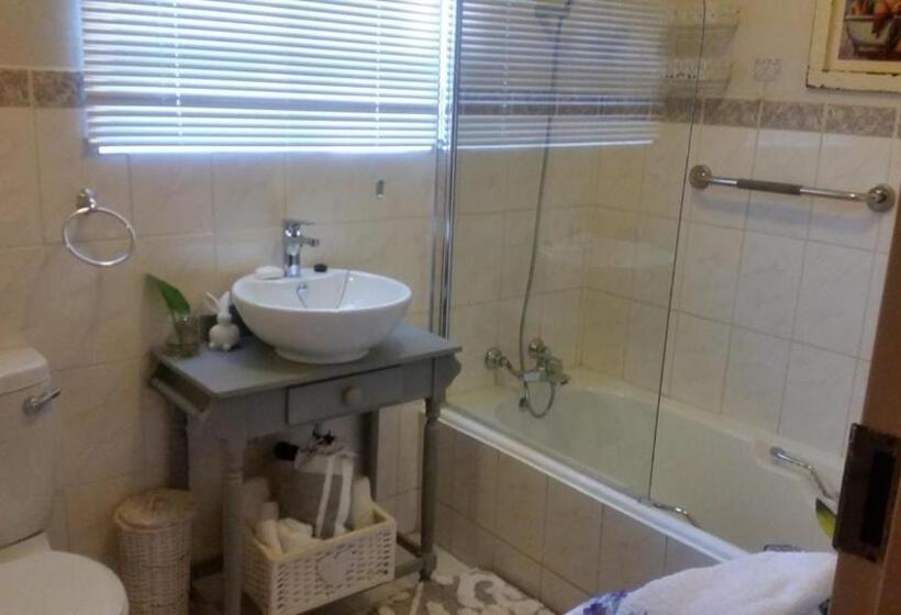 بنسيون Lizzie S