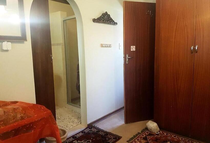 بنسيون Lizzie S