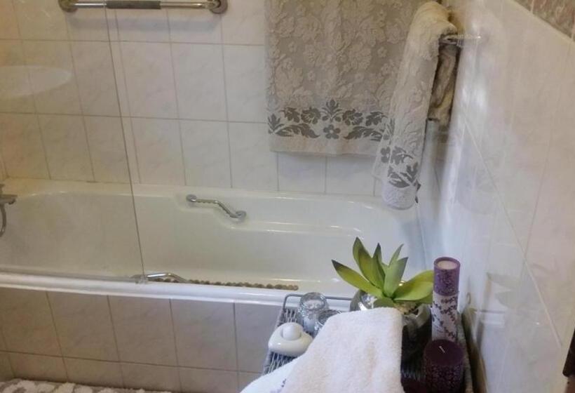 بنسيون Lizzie S