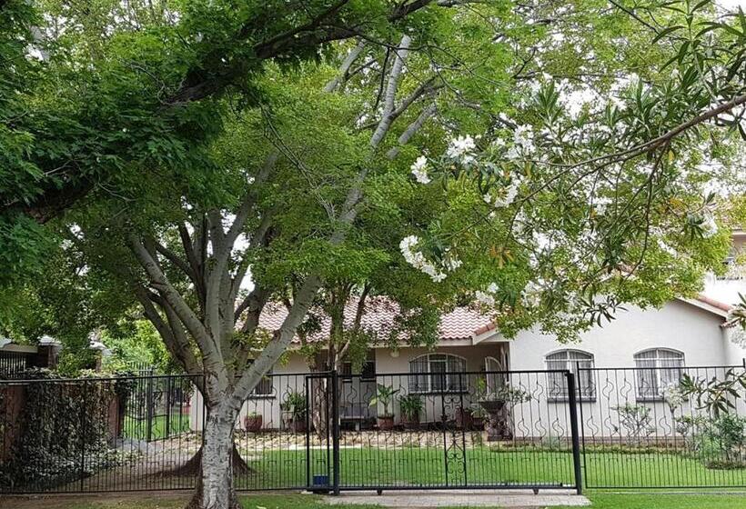 بنسيون Lizzie S