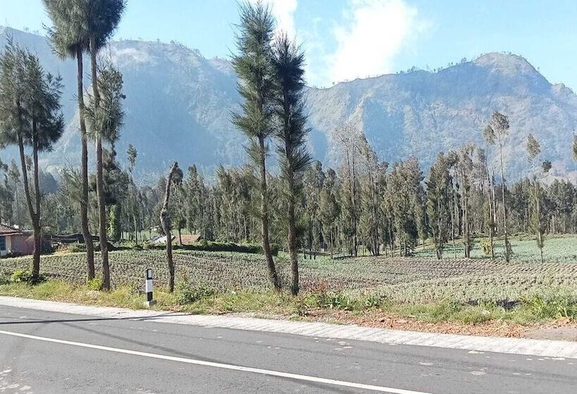 بنسيون Tengger Indah Seruni Bromo