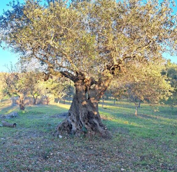 פנסיון Viale Del Sole Le Dimore