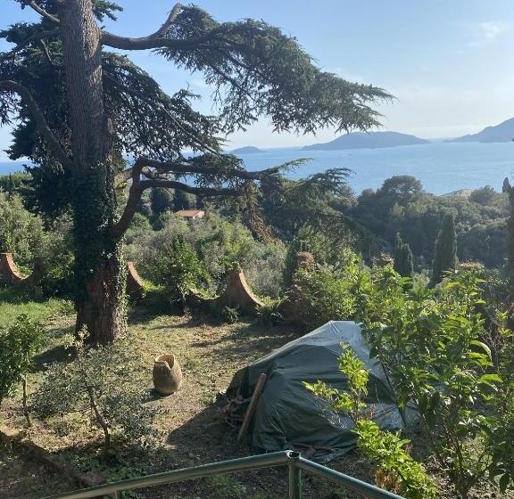 פנסיון Villa Picedi