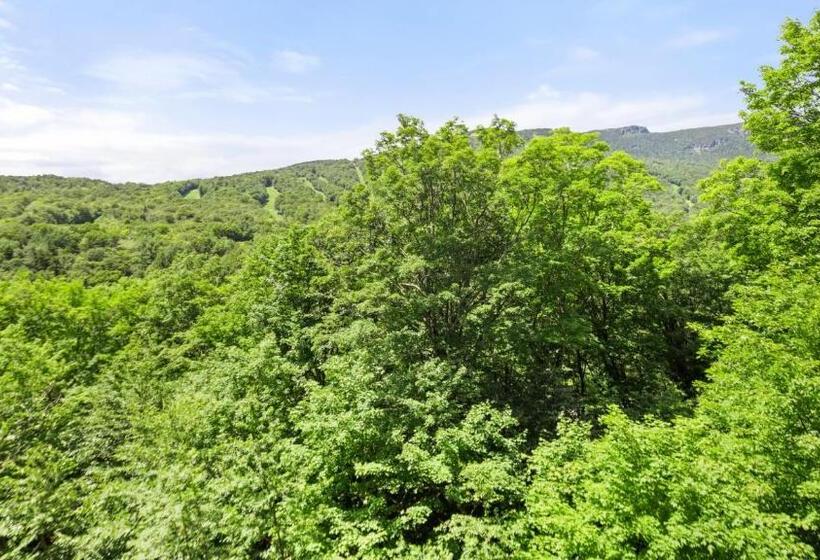 استراحتگاه 1315 Studio The Lodge At Spruce Peak 3rd Floor