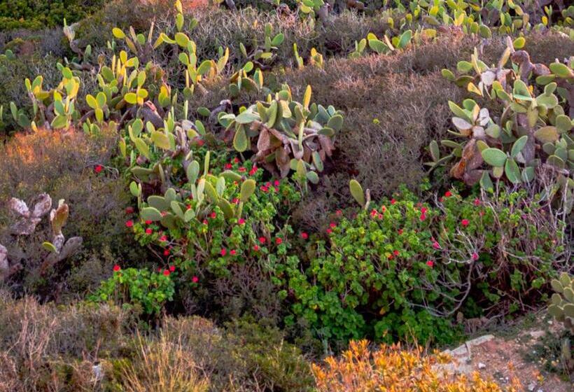 אתר נופש Faro Capel Rosso