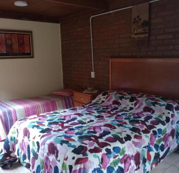 호스텔 Cabañas Mis Amores