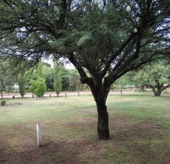 호스텔 Cabañas Mis Amores