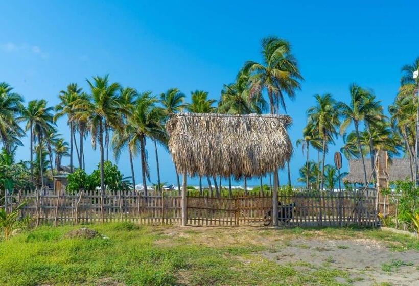 ユースホステル Mi Pequeño Paraíso