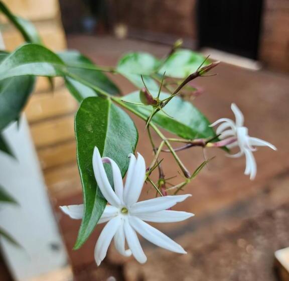 ユースホステル Posada Recanto Minguero