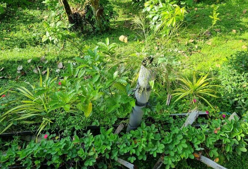 הוסטל Squirrel S Nest