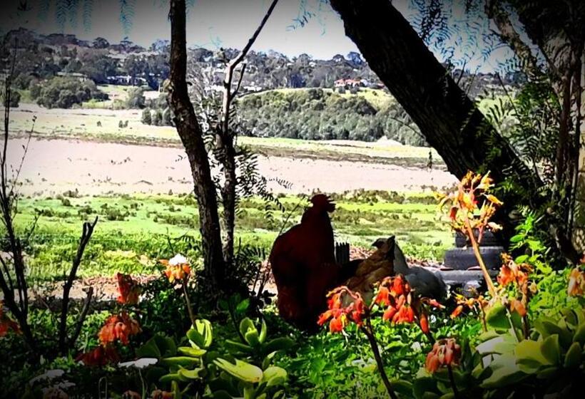 צימר A La Folly Too The Old Workshop