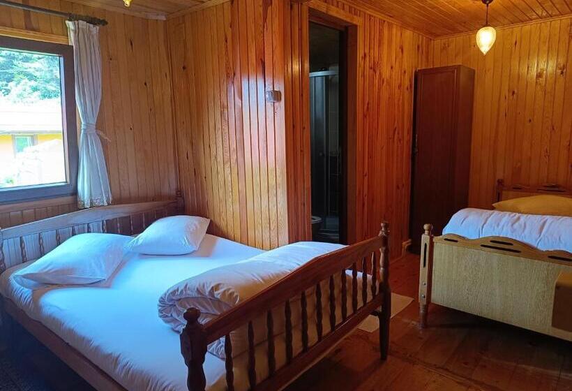 צימר Ayder Petek Apart Otel