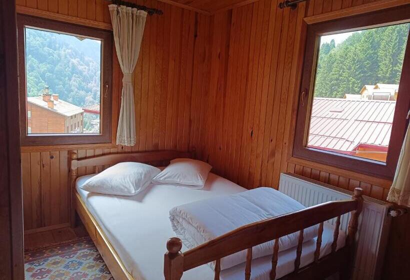 مبيت وإفطار Ayder Petek Apart Otel