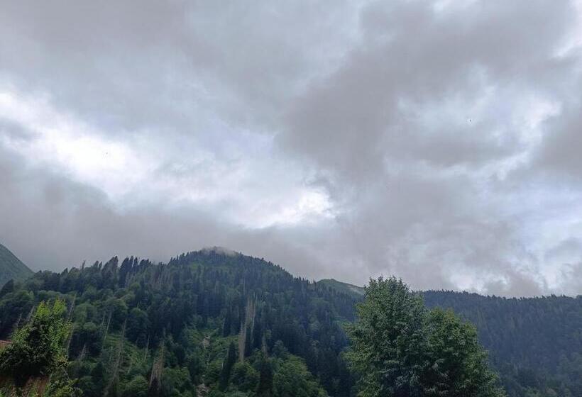 צימר Ayder Petek Apart Otel