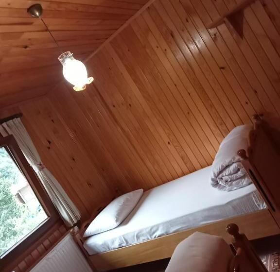 צימר Ayder Petek Apart Otel