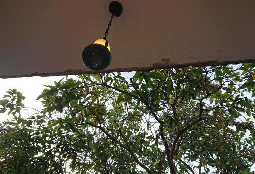 مبيت وإفطار Canaan Music