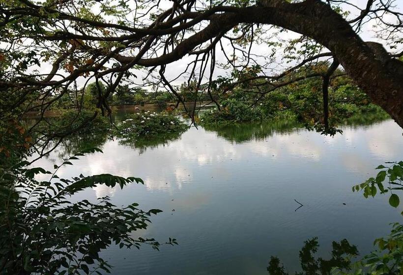 ベッドアンドブレックファースト Canaan Music