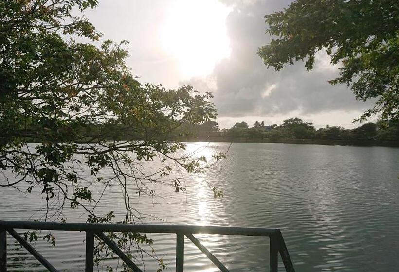 ベッドアンドブレックファースト Canaan Music