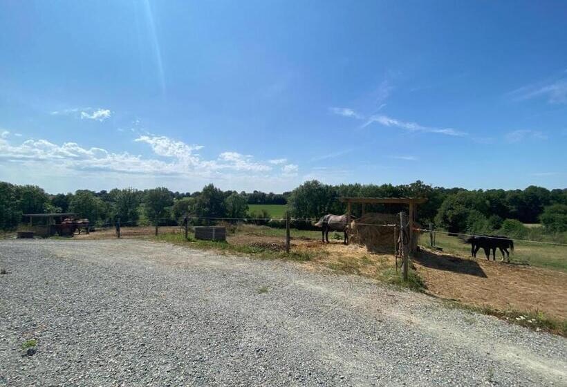 צימר Chambre D Hôtes Des Roseaux