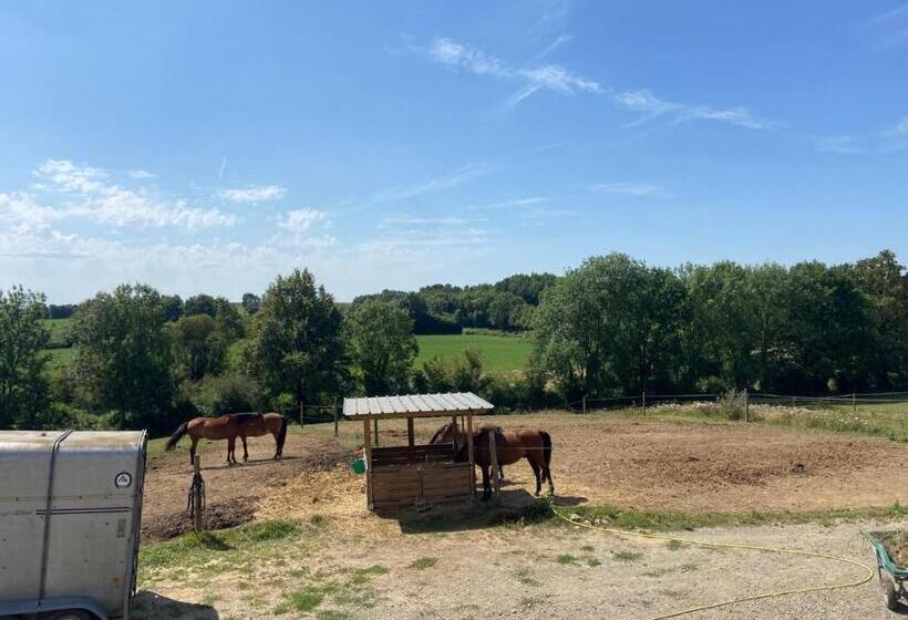 צימר Chambre D Hôtes Des Roseaux