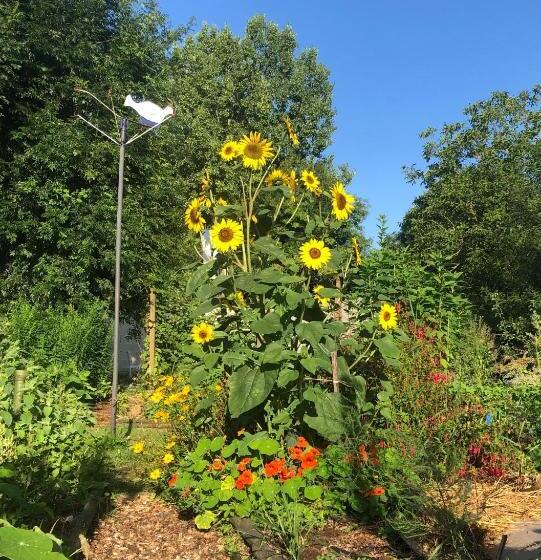 住宿加早餐  La Grange De La Brousse