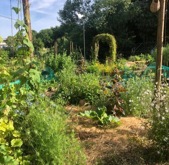 Bed and Breakfast La Grange De La Brousse