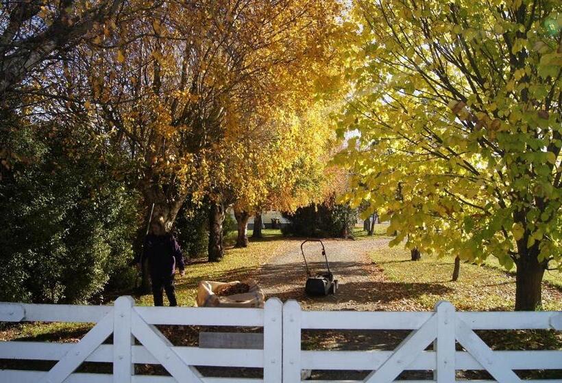 Bed and Breakfast Oliver S Farmstay