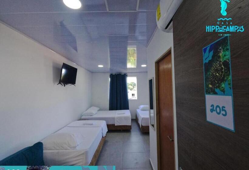 צימר Sukha Hippocampus San Andrés Isla