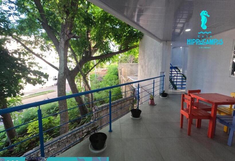 צימר Sukha Hippocampus San Andrés Isla