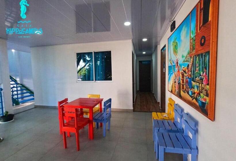 צימר Sukha Hippocampus San Andrés Isla