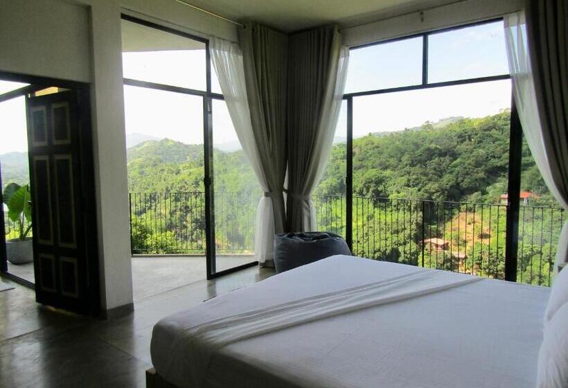 Bed and Breakfast The Terrace 129