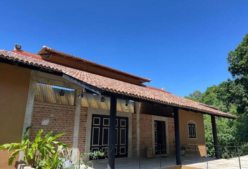 Bed and Breakfast The Terrace 129