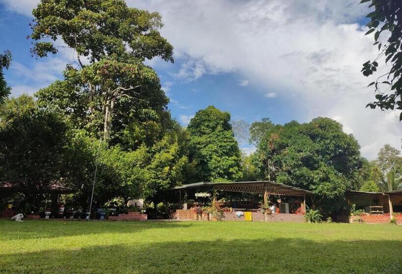 בית מלון כפרי Cabañas Horeb