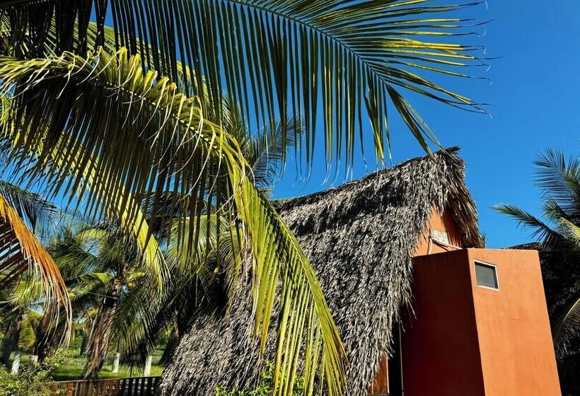 فندق Cabañas Riviera Afro