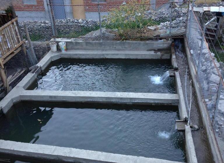 هتل Campestre Don Robert