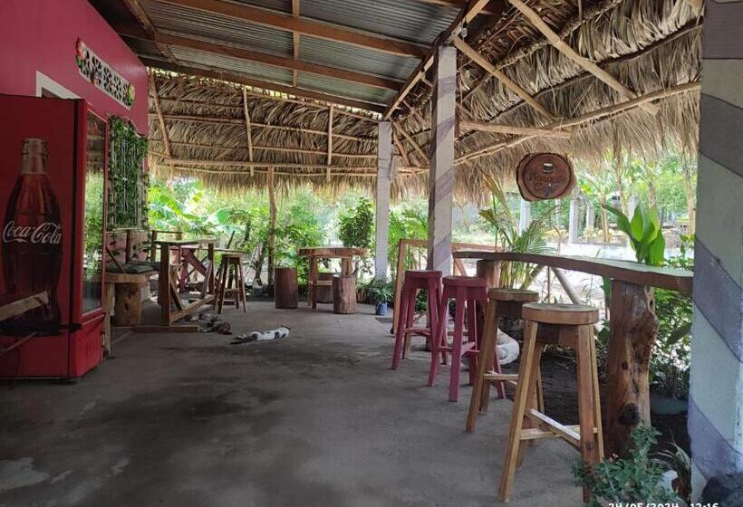 胶囊酒店 Mamacita Cafe House