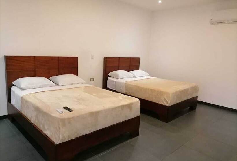 فنادق الكبسولة Scala Inn