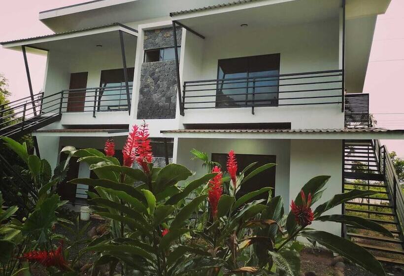 فنادق الكبسولة Scala Inn