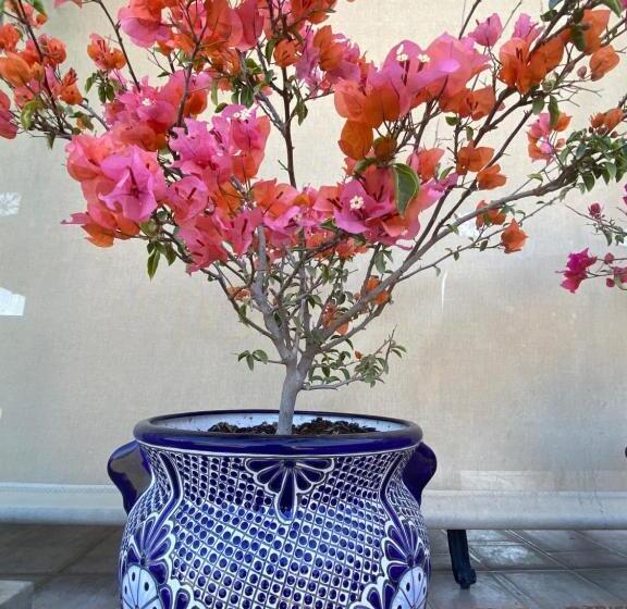 فندق Quinta Trespuentes