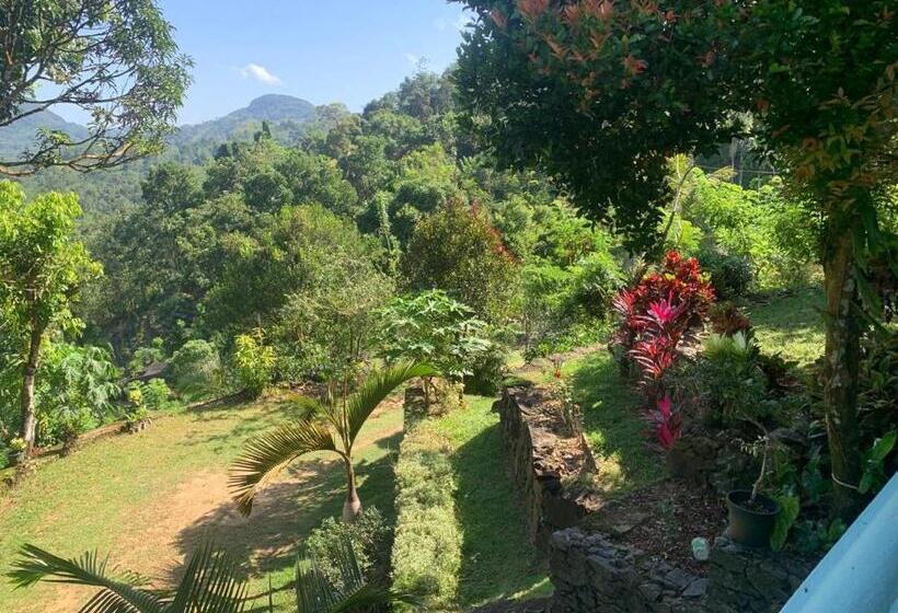 ホテル Sinharaja Holiday Bungalow